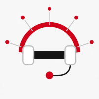 Technischer Remote-Support nach Bedarf